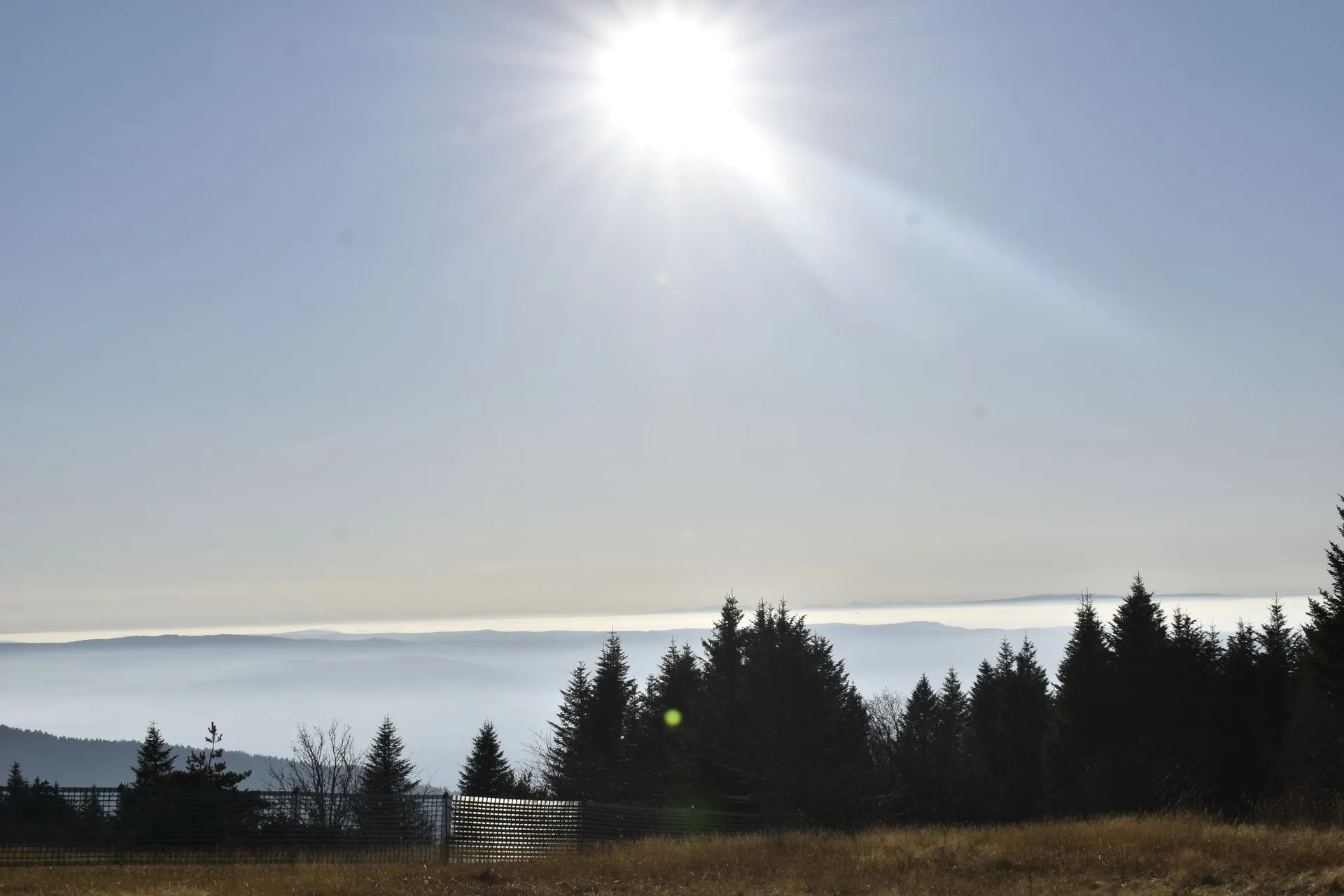 Monts du Forez et Hautes Chaumes